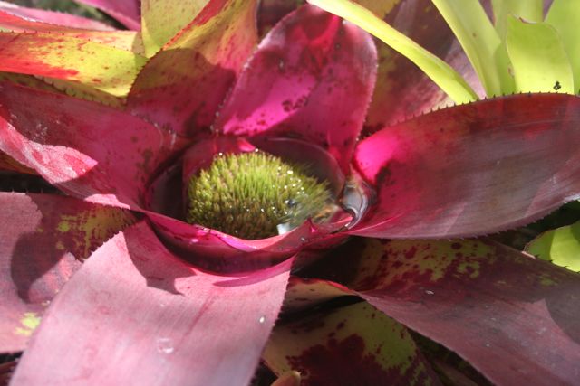 Check out the center