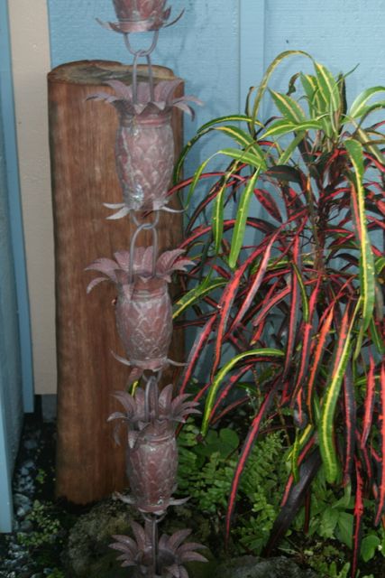 Bottom of Pineapple falls