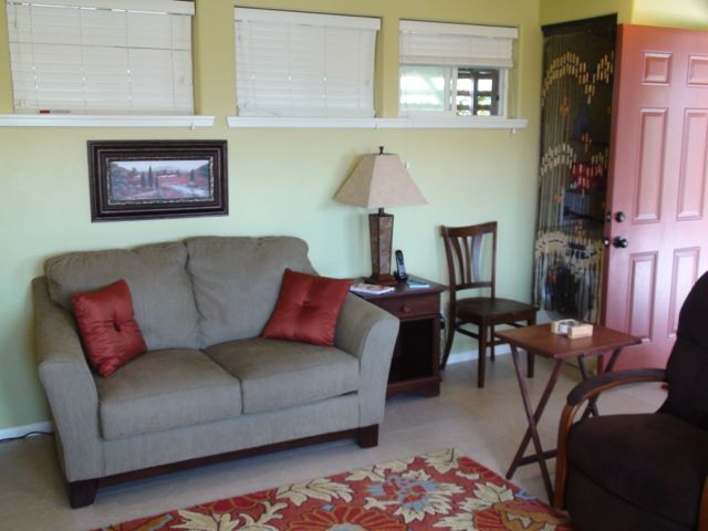 Downstairs Living room
