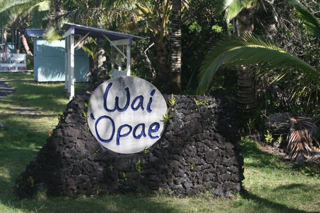 Famous Tide Pools Nearby