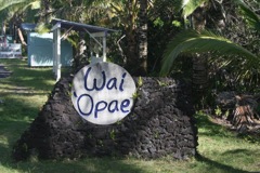 Famous Tide Pools Nearby